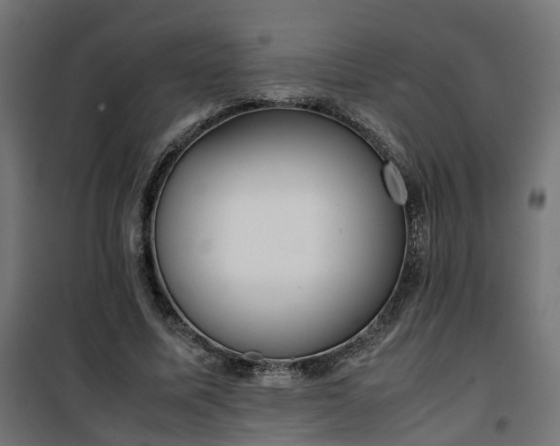 X0000100480587200806201631