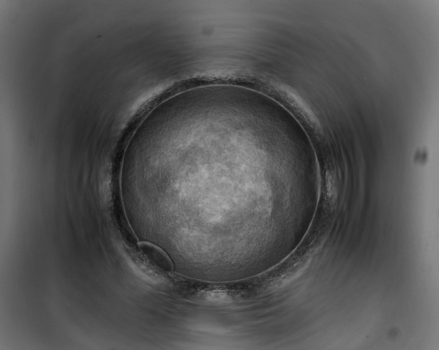 X0000100480588200806201631