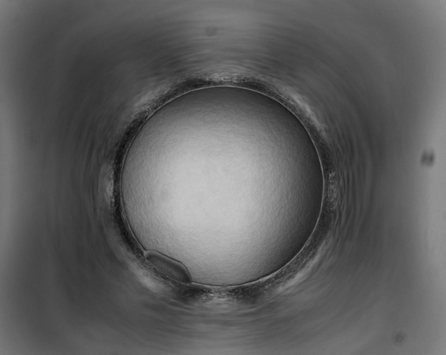 X0000100480589200806201631