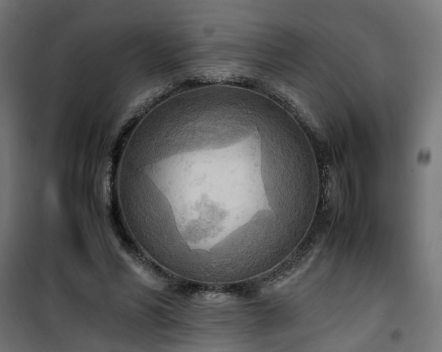 X0000100480590200806201631
