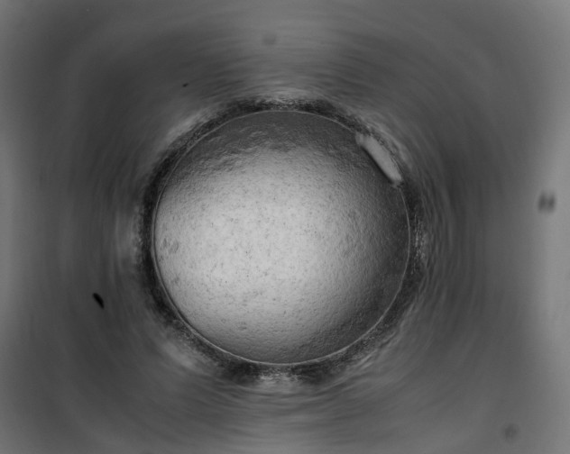 X0000100480591200806201631