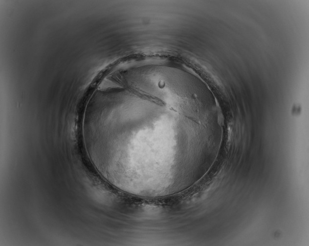 X0000100480592200806201631