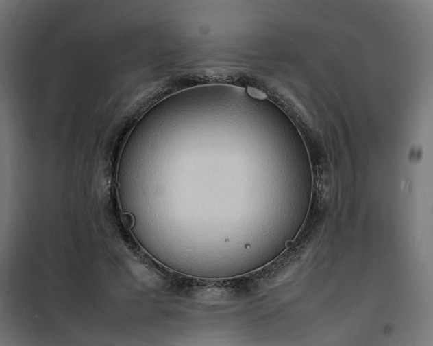X0000100480593200806201631