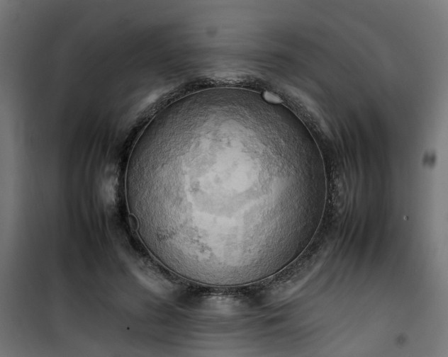 X0000100480596200806201631