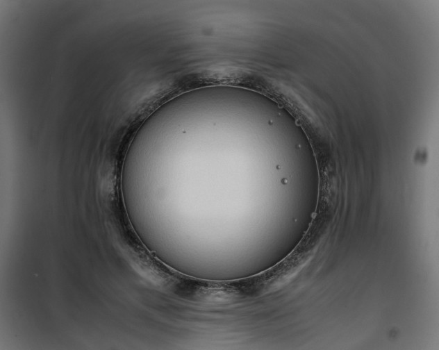 X0000100480597200806201631