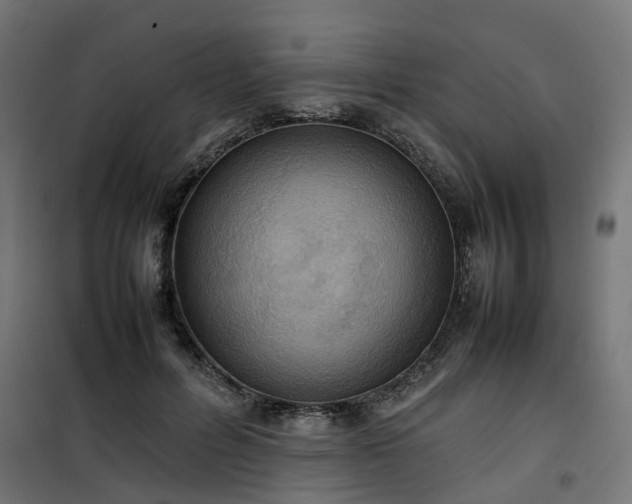 X0000100480600200806201631