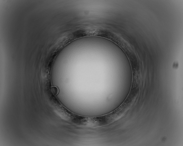X0000100480601200806201631