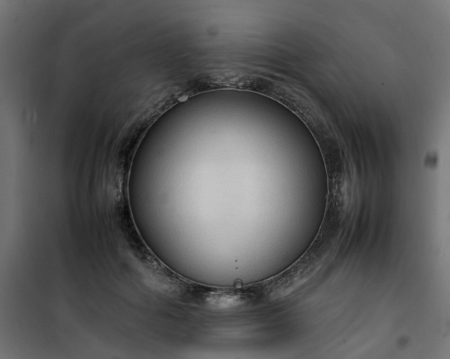 X0000100480602200806201631
