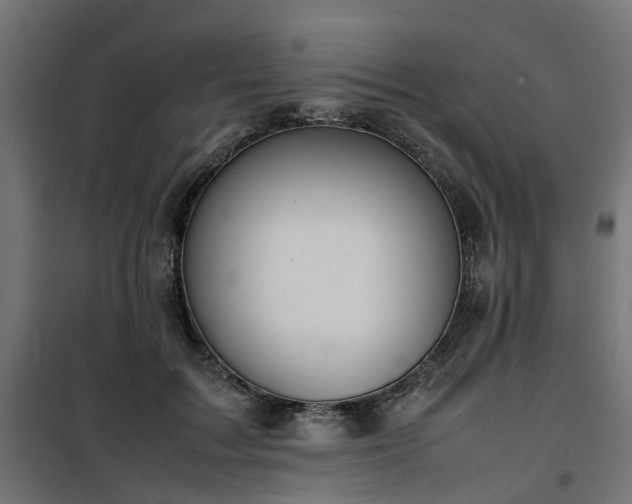 X0000100480603200806201631