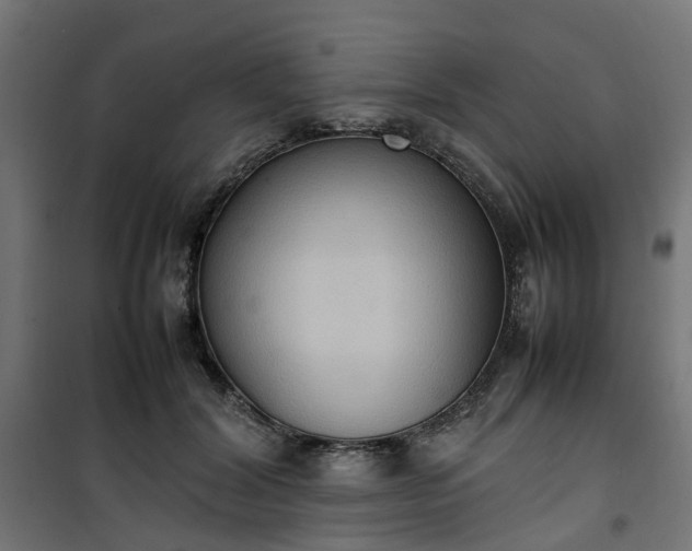 X0000100480604200806201631