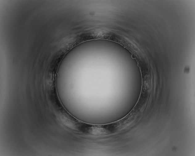 X0000100480605200806201631