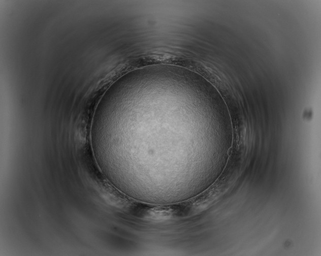 X0000100480606200806201631