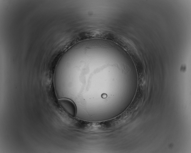 X0000100480607200806201631