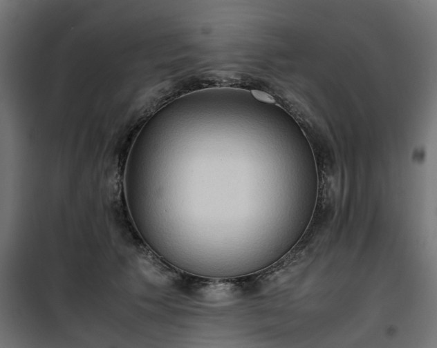 X0000100480609200806201631