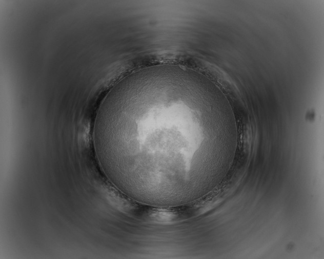 X0000100480610200806201631