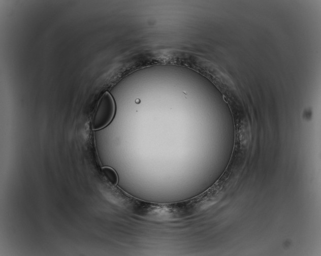 X0000100480611200806201631