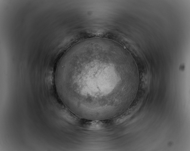 X0000100480612200806201631