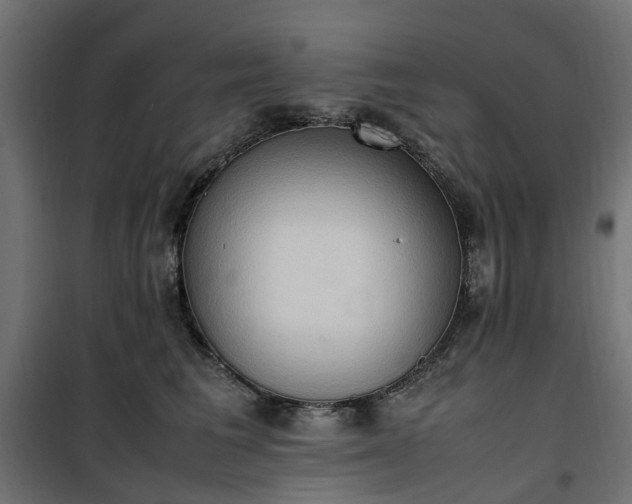 X0000100480613200806201631
