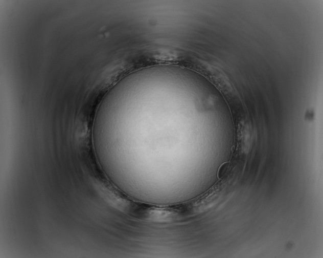 X0000100480614200806201631