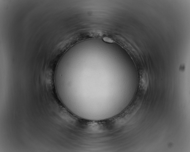 X0000100480616200806201631
