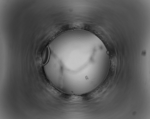 X0000100480617200806201631