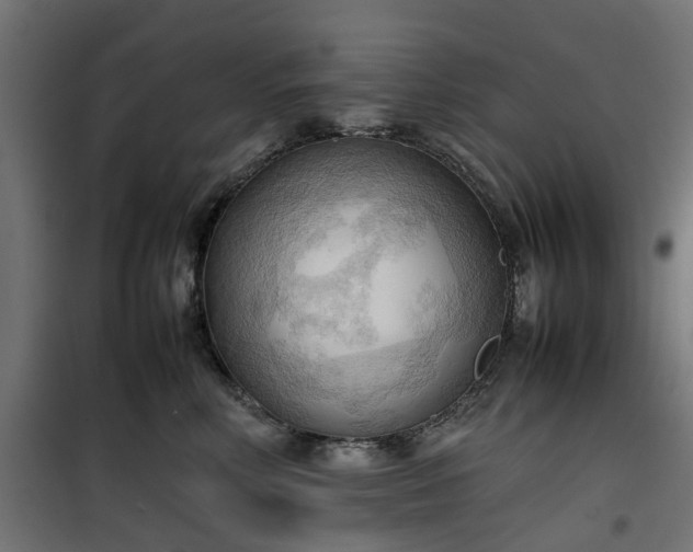 X0000100480618200806201631