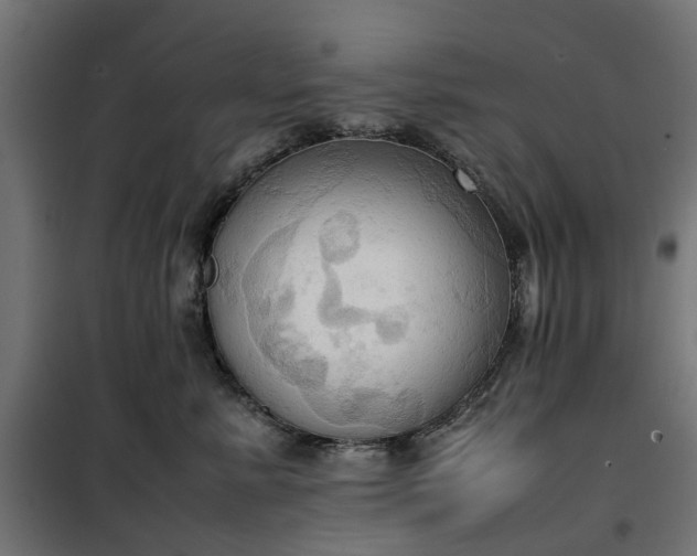 X0000100480619200806201631