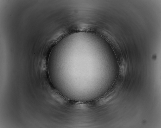 X0000100480620200806201631