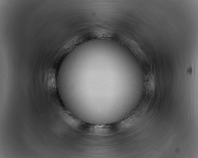 X0000100480622200806201631