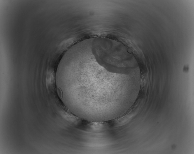 X0000100480623200806201631
