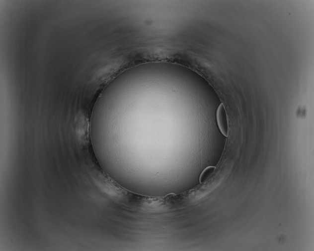 X0000100480624200806201631