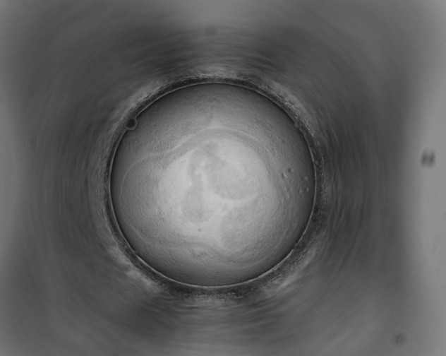 X0000100480625200806201630