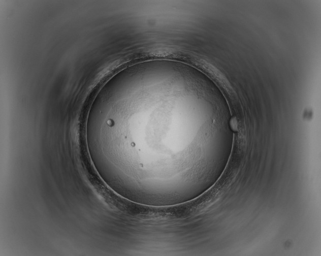 X0000100480626200806201630