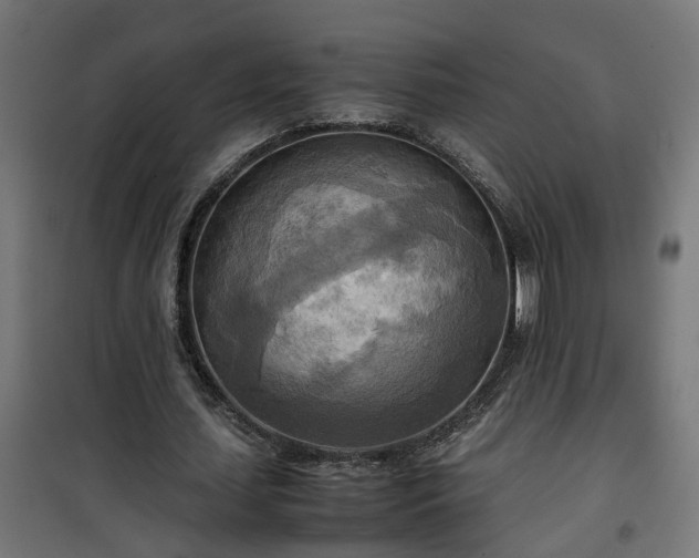 X0000100480627200806201630