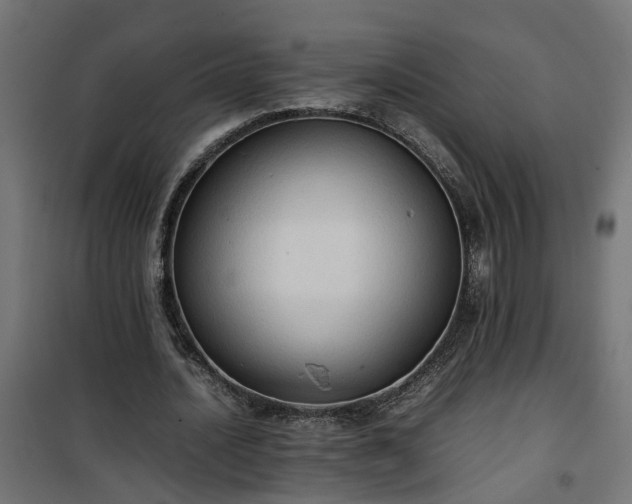 X0000100480628200806201630