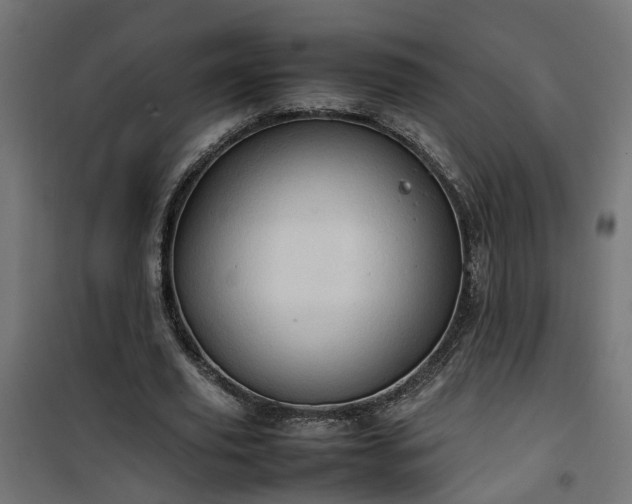 X0000100480629200806201630