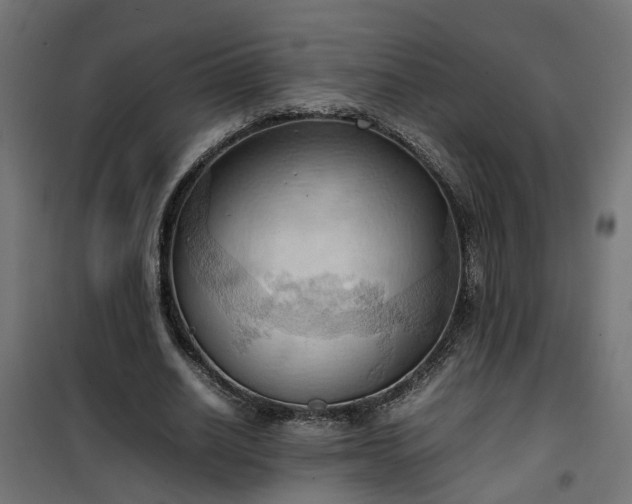 X0000100480630200806201630