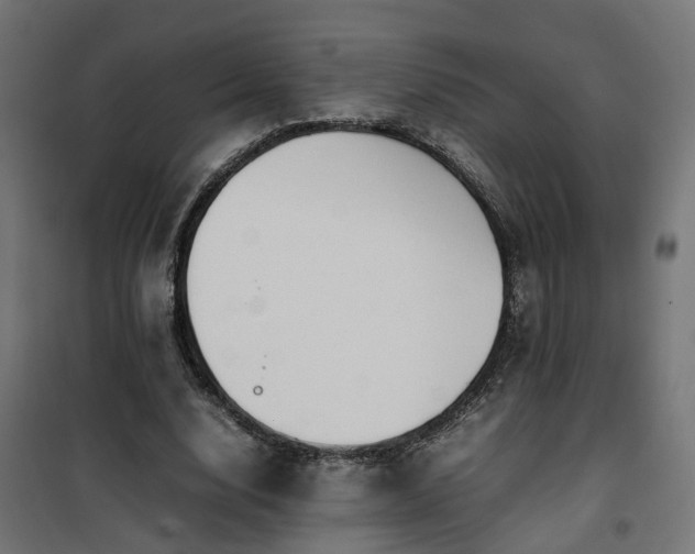 X0000100480632200806201630