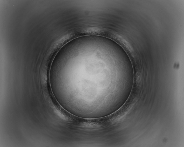 X0000100480633200806201630