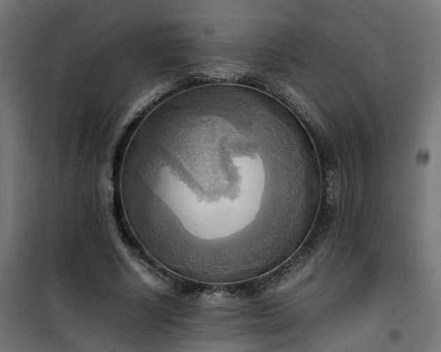 X0000100480634200806201630