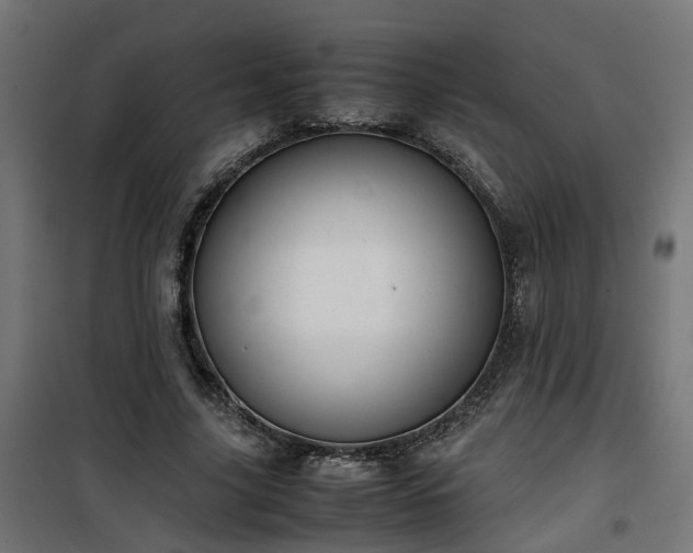 X0000100480635200806201630