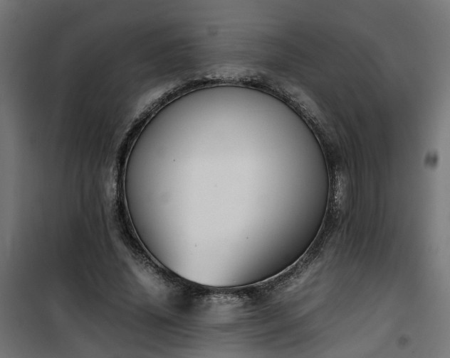 X0000100480636200806201630