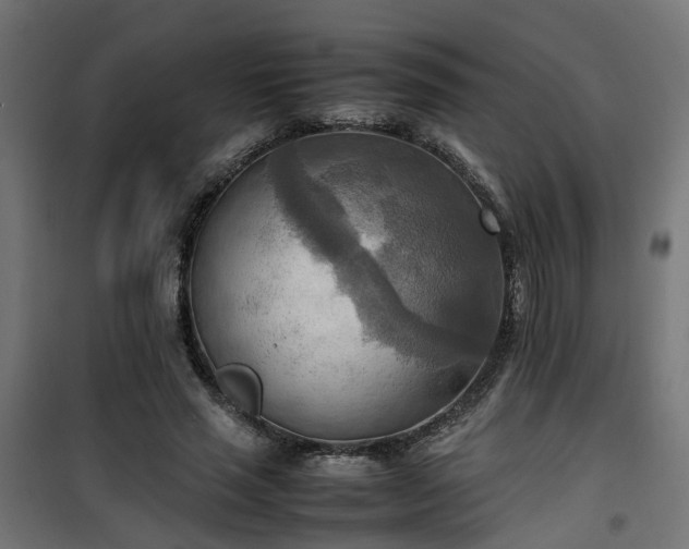 X0000100480637200806201630