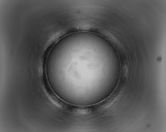 X0000100480638200806201630