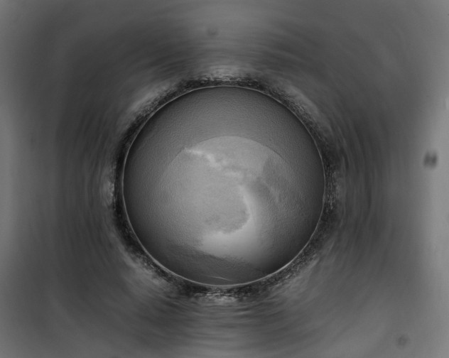 X0000100480640200806201630