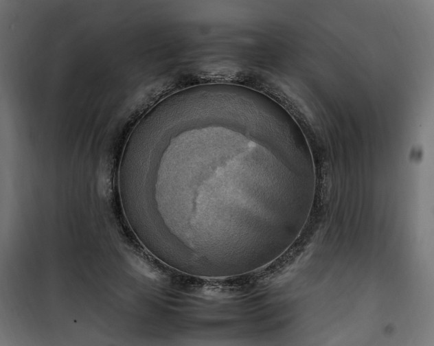 X0000100480641200806201630