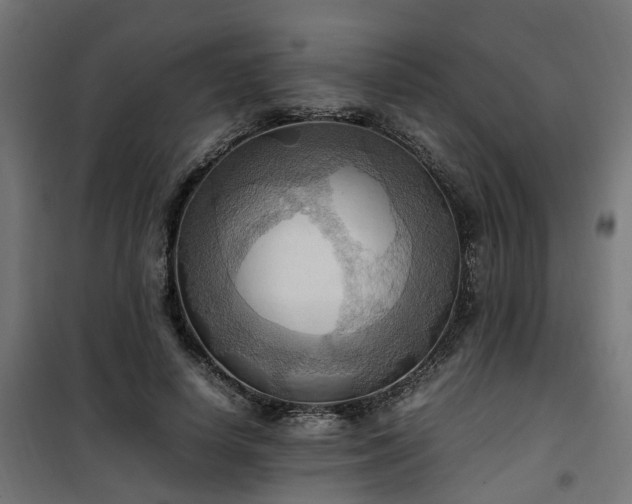 X0000100480642200806201630