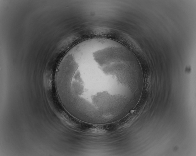 X0000100480644200806201630
