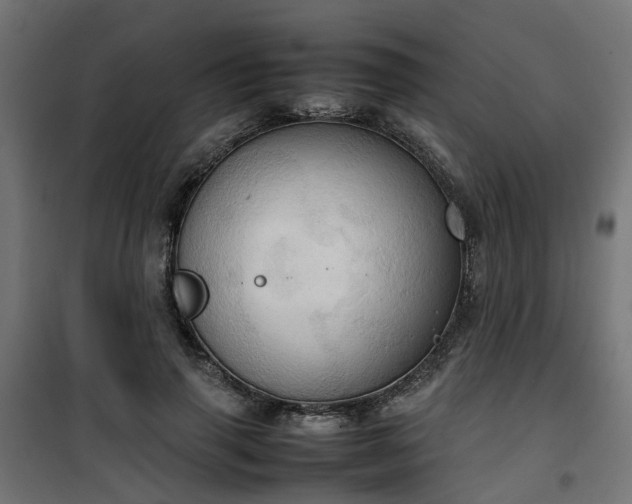 X0000100480645200806201630