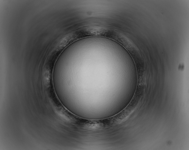 X0000100480646200806201630